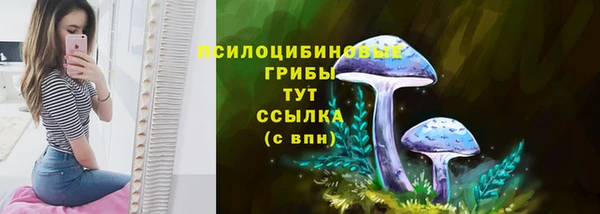 ECSTASY Зерноград