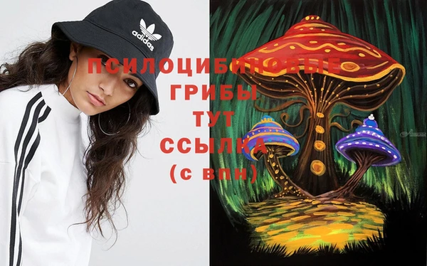 молекула духа Вуктыл