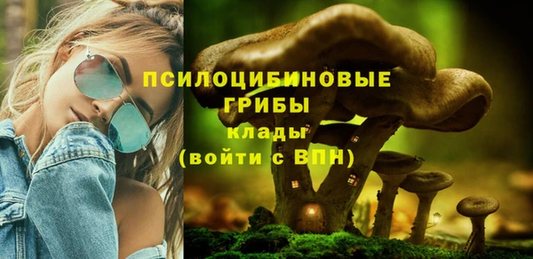 ECSTASY Зерноград