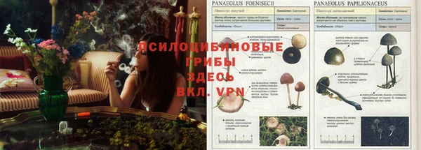 метамфетамин Зеленодольск